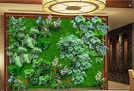 植物墙装饰布置