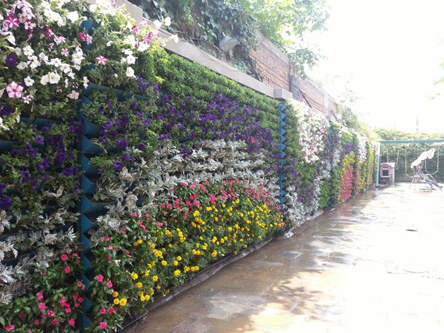 植物墙装饰布置